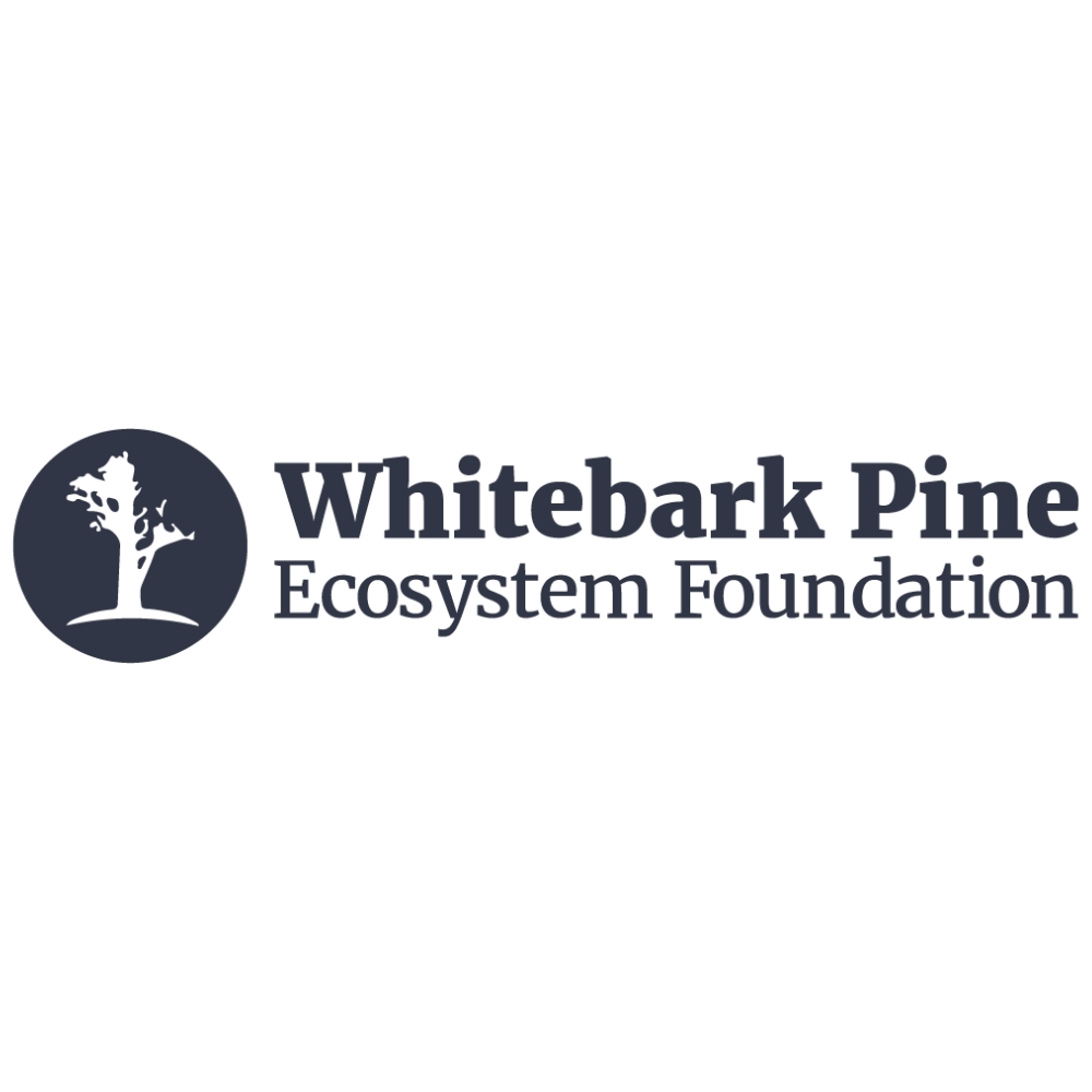 whitebark-pine-logo