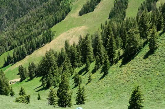 crop_svr_baldmountain_mountainbiking_summer_2022_gilmour_hayden_6