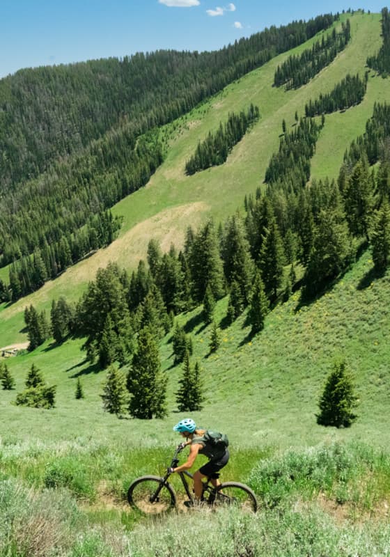 crop_svr_baldmountain_mountainbiking_summer_2022_gilmour_hayden_6