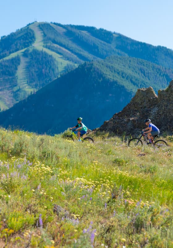 idarado_summer_familywhiteclouds_july2019_7