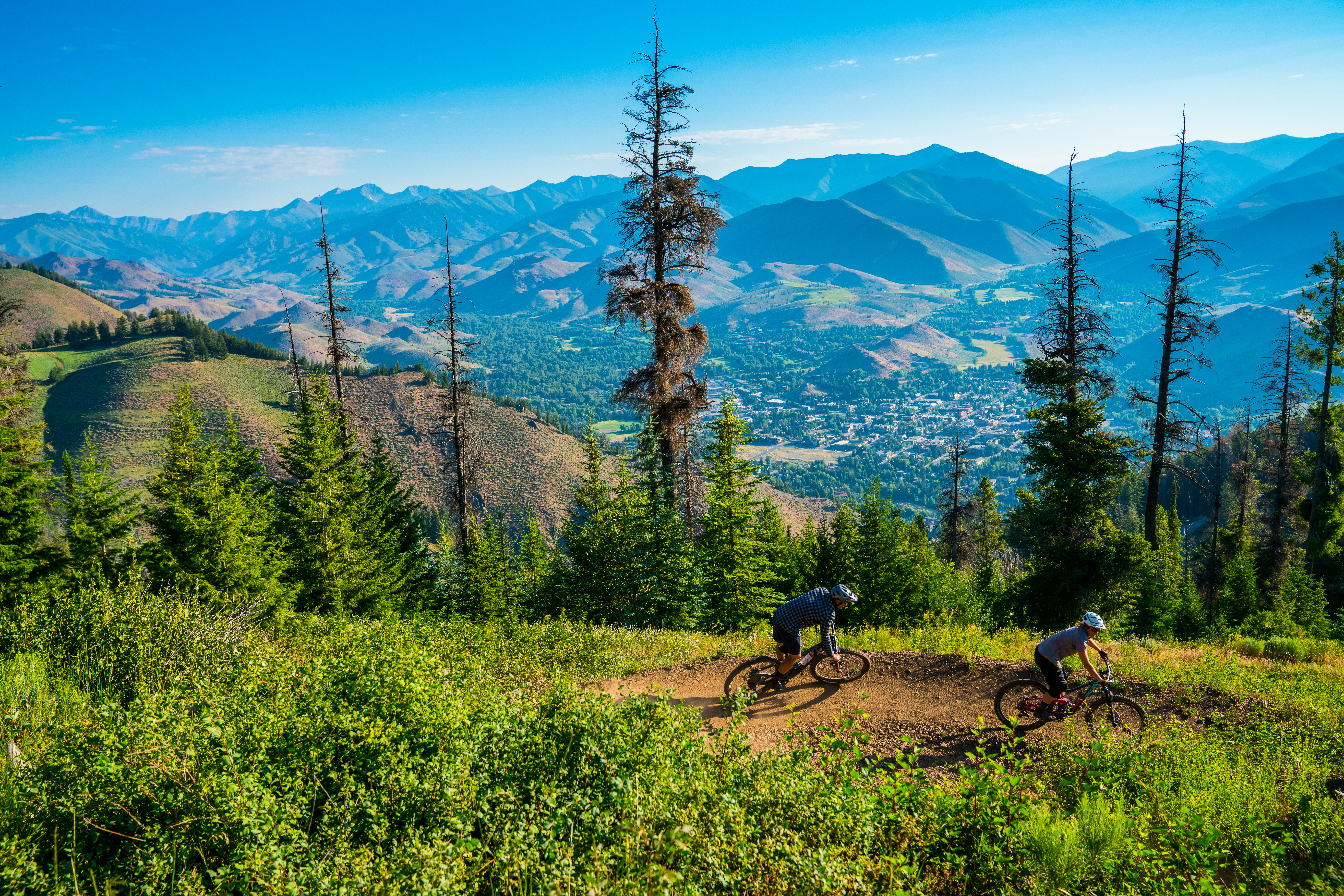 Bald mountain mountain bike trail 2025
