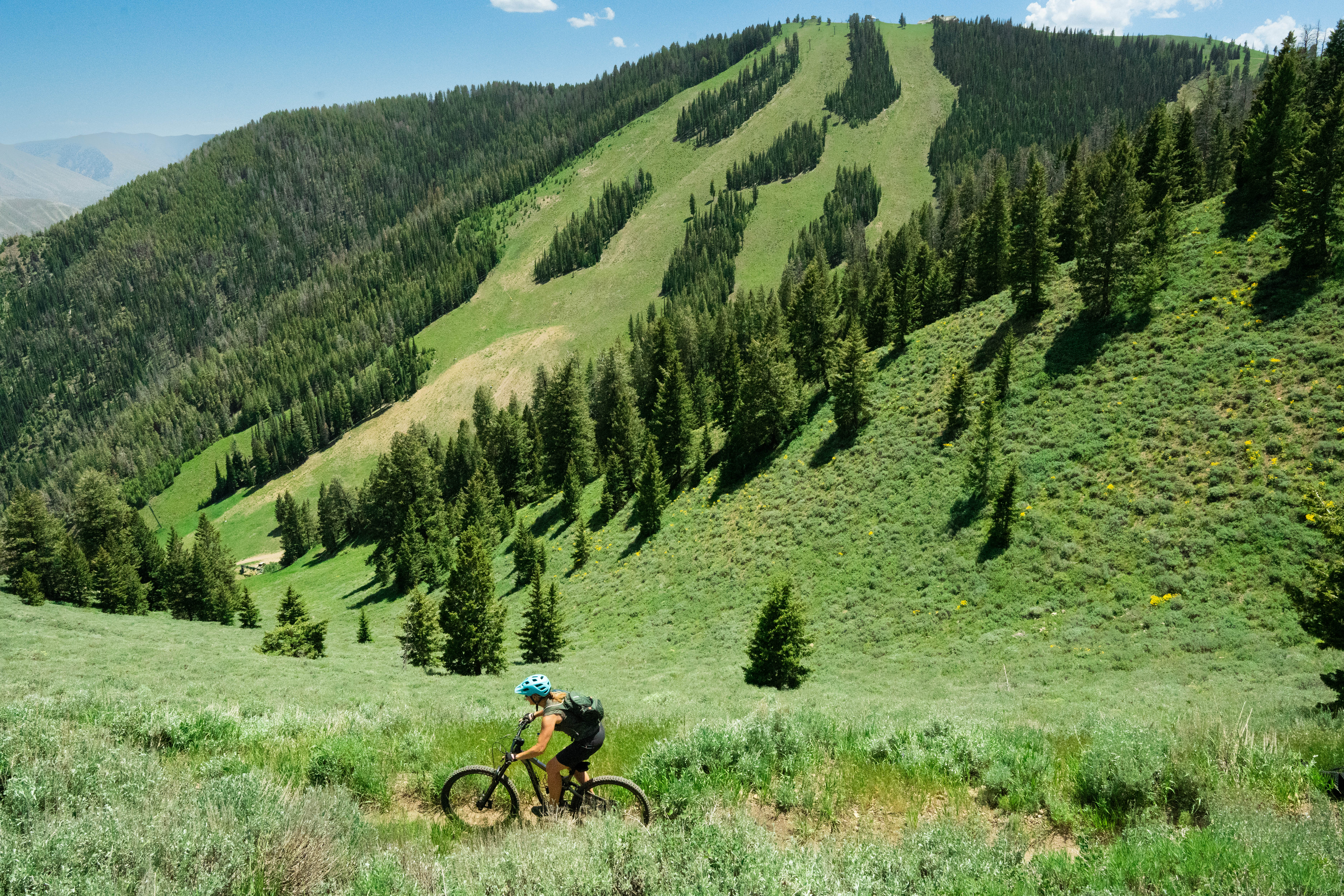 Bald mountain 2025 bike trails