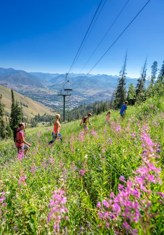 svr_baldmountain_hiking_family_2017_dondero_steve_3