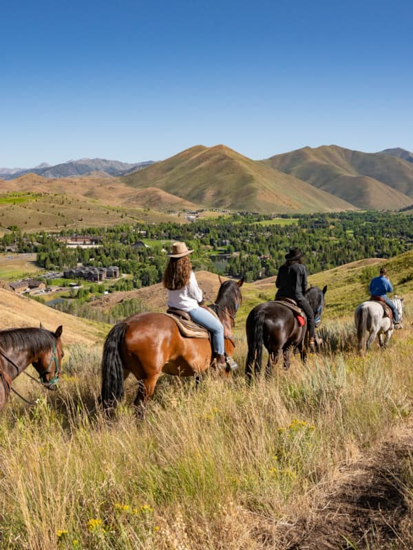 SVR_Dollar_Horseback_2023_1