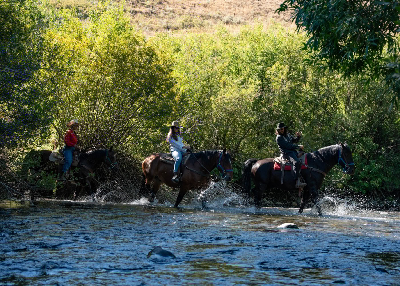 svr_dollar_horseback_2023_4.jpg