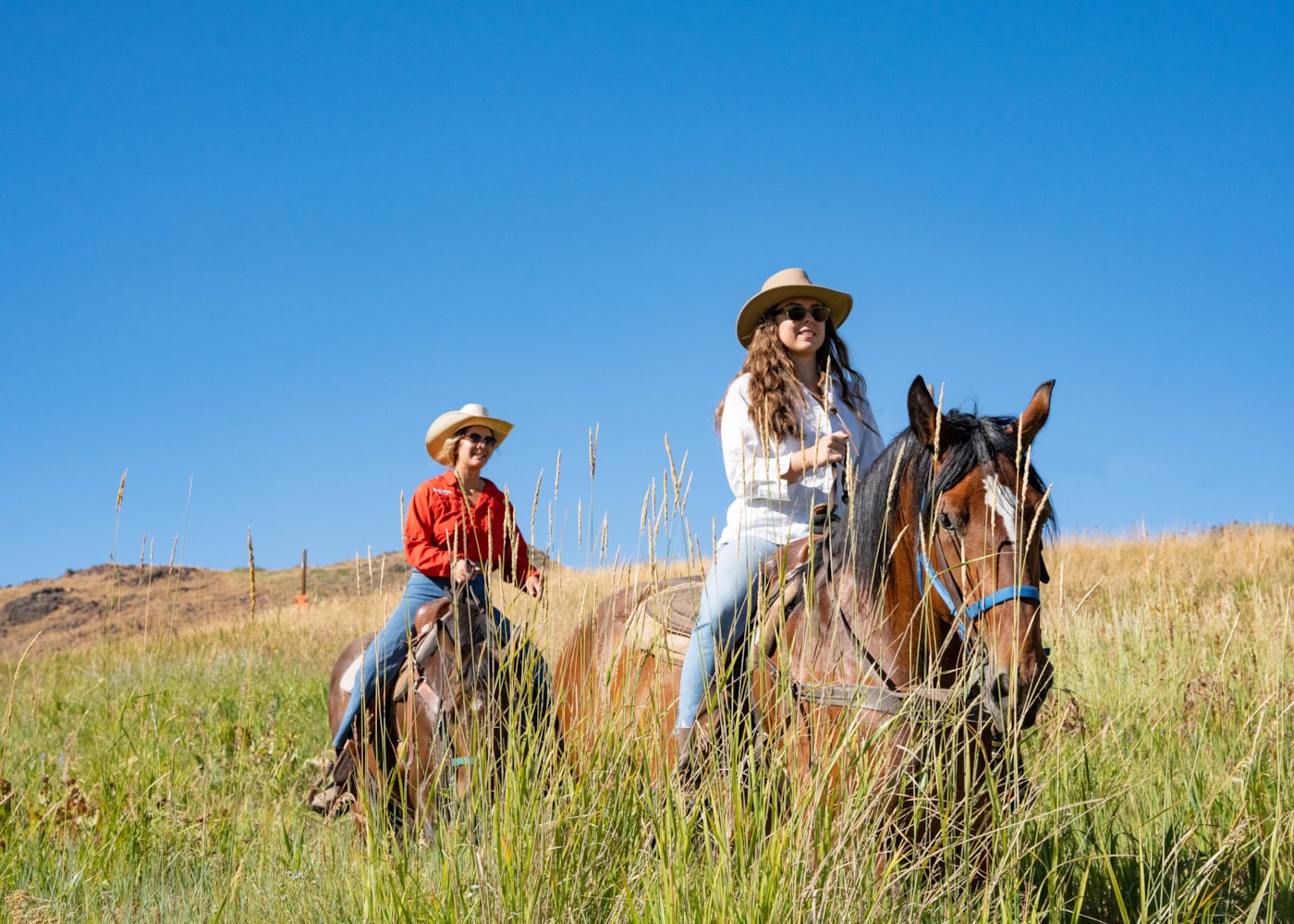svr_dollar_horseback_2023_6.jpg