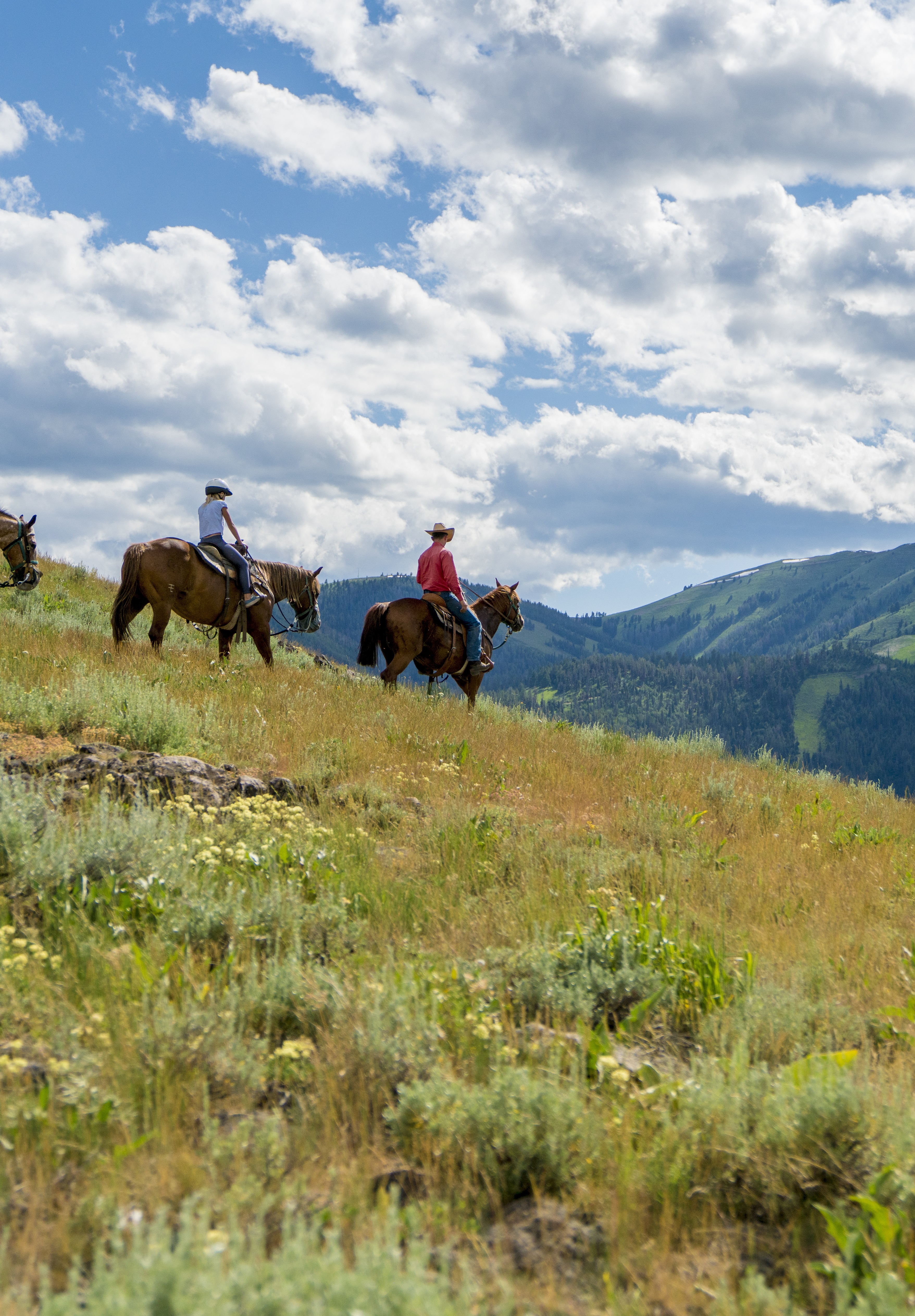 svr_dollarmountain_trailrides_summer_2017_mancuso_jon_idarado_2_cropped-2