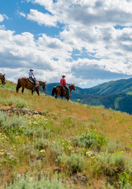 svr_dollarmountain_trailrides_summer_2017_mancuso_jon_idarado_2_cropped-2