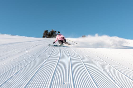 svr_groomer_day_mckenna-peterson_03-14-25_7