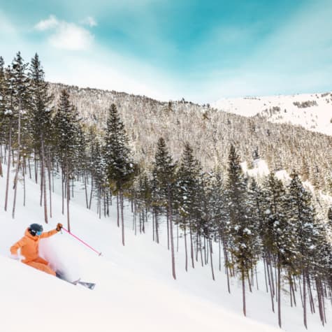 svr_riopederson_sofia-jaramillo_02-08-25_17-1