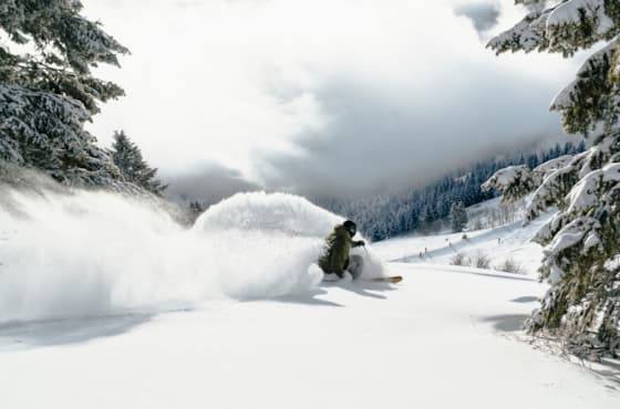 svr_winter_skiing_collin_collins_pow_day_a7405237