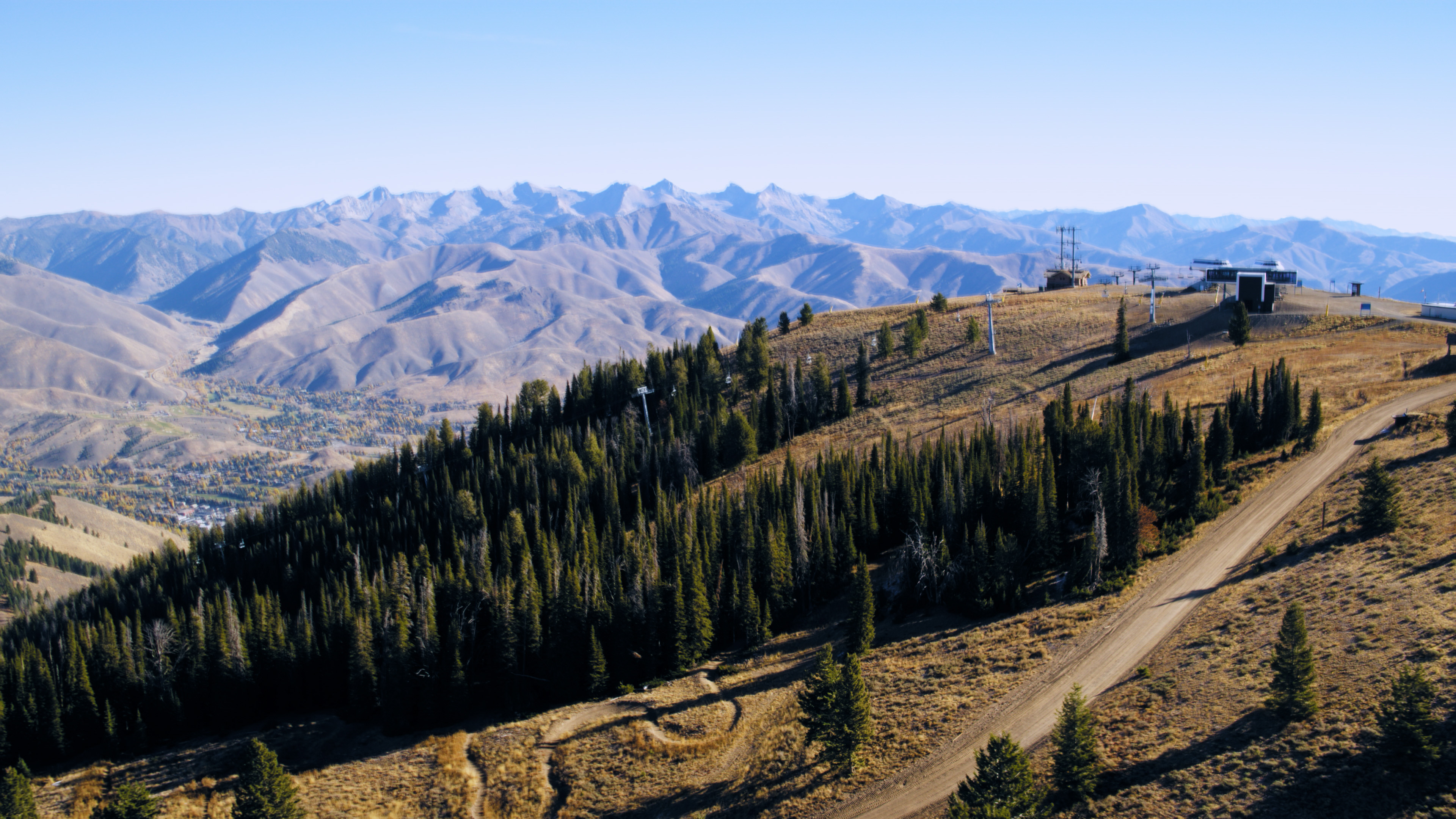 SVR_Whitebark-Pine_Documentary_Green-Initiative_2025_Thumb_2