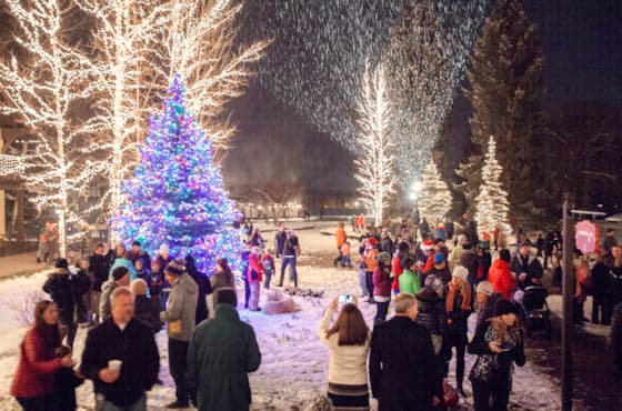 sunvalleytreelighting