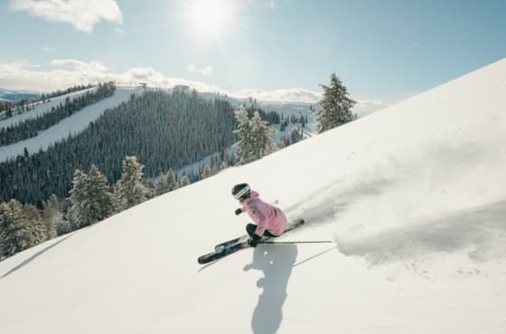 svr_winter_skiing_bluebird_bowls_-sofiadewolfe_-12-27-25-1011