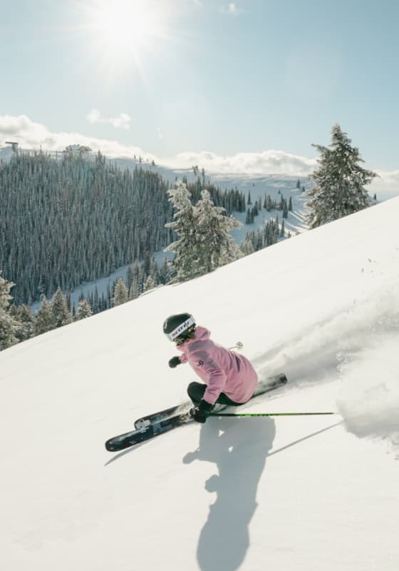 svr_winter_skiing_bluebird_bowls_-sofiadewolfe_-12-27-25-1011