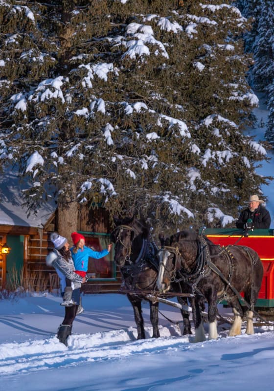 svr_trailcreekcabin_sleighride_svstables_winter_2019_dondero_steve_3
