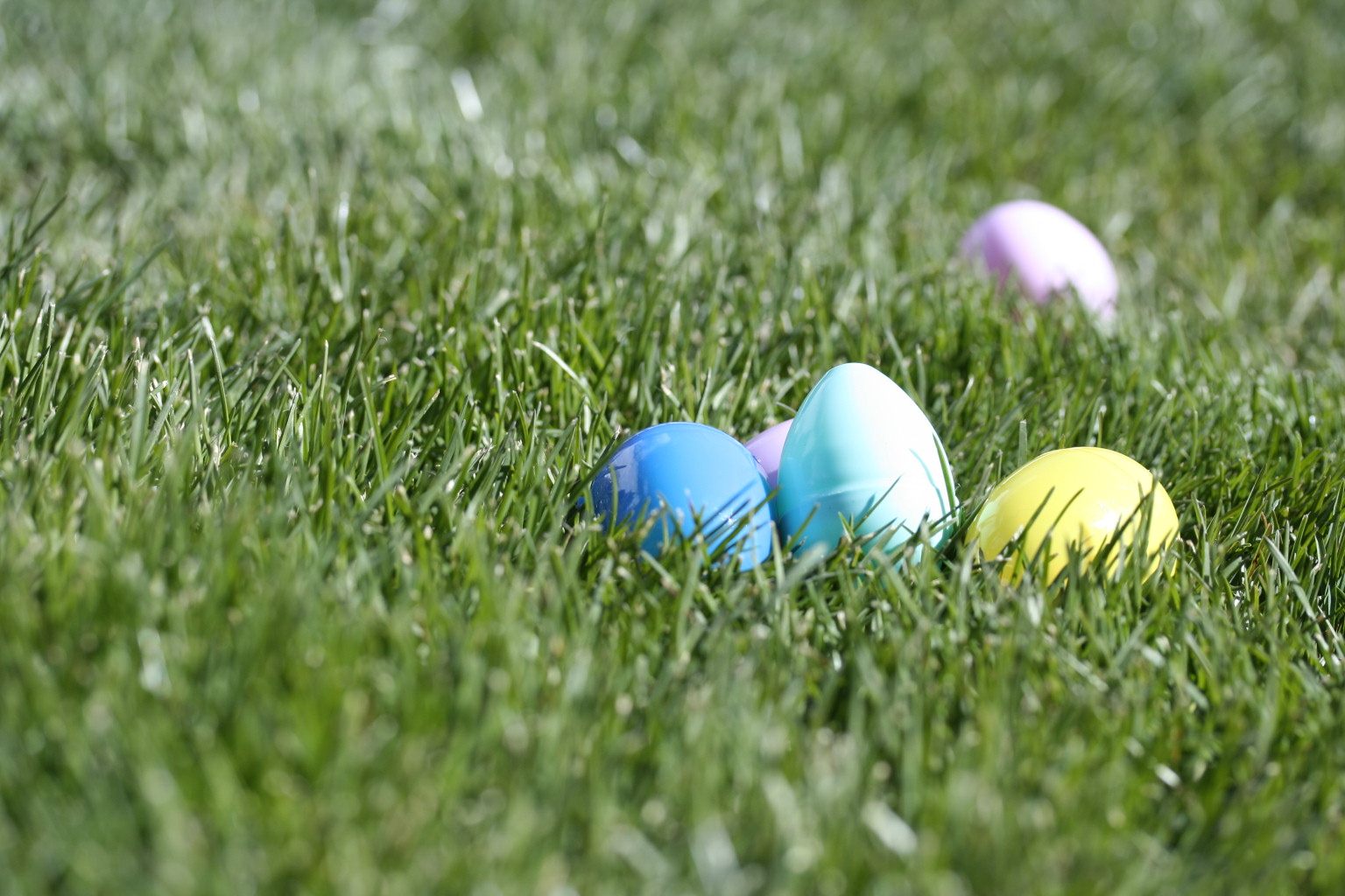 _MG_8507-1536x1024-3dbaff9