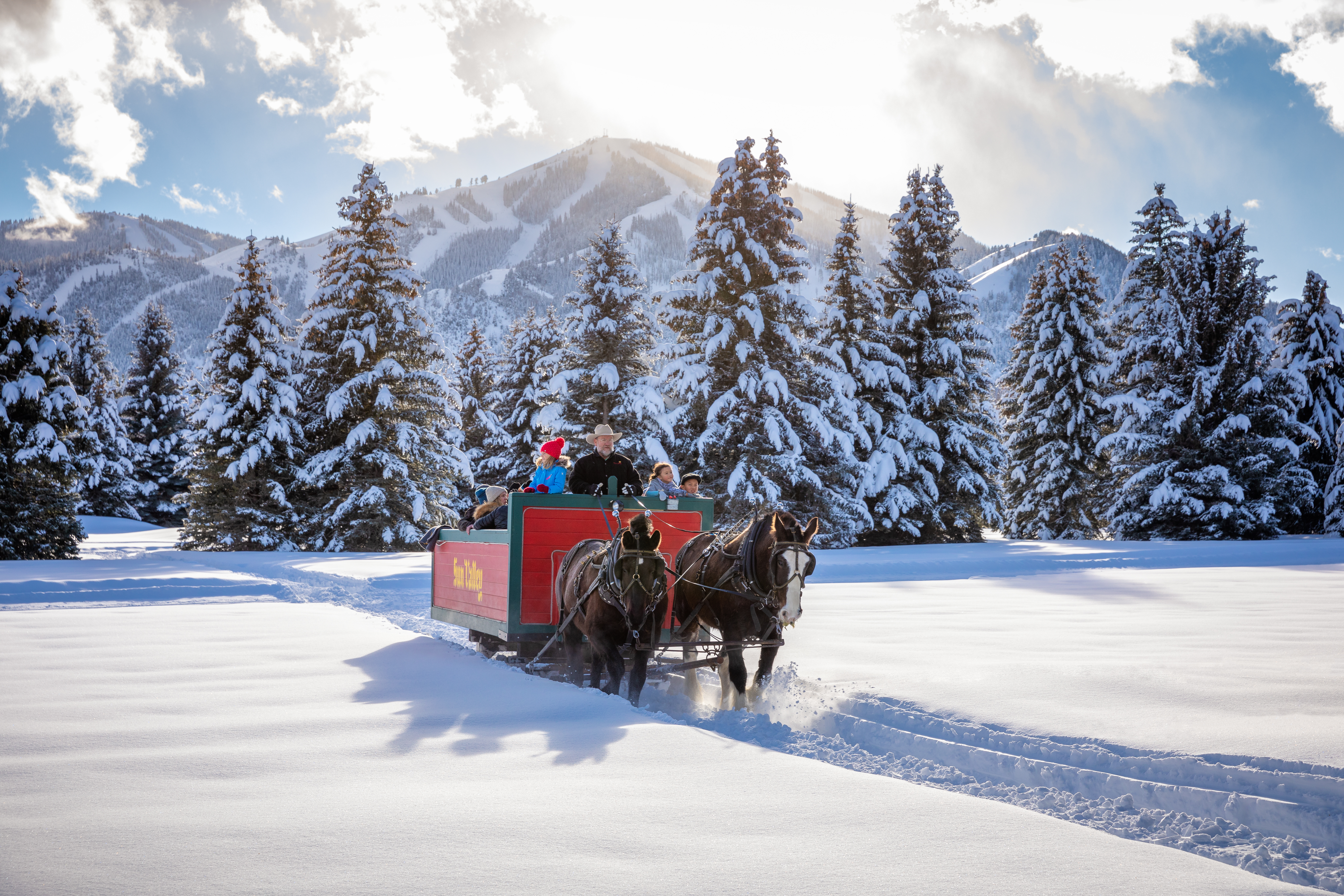 svr_svstables_sleighride_winter_2019_dondero_steve_3