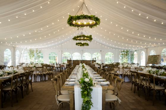 alexa-augie-wedding-day_346