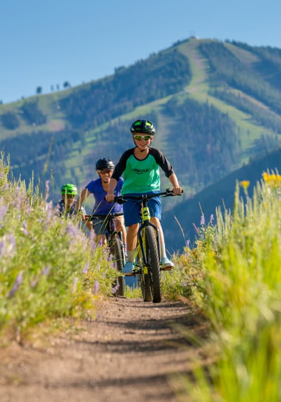 carousel-summer-biking