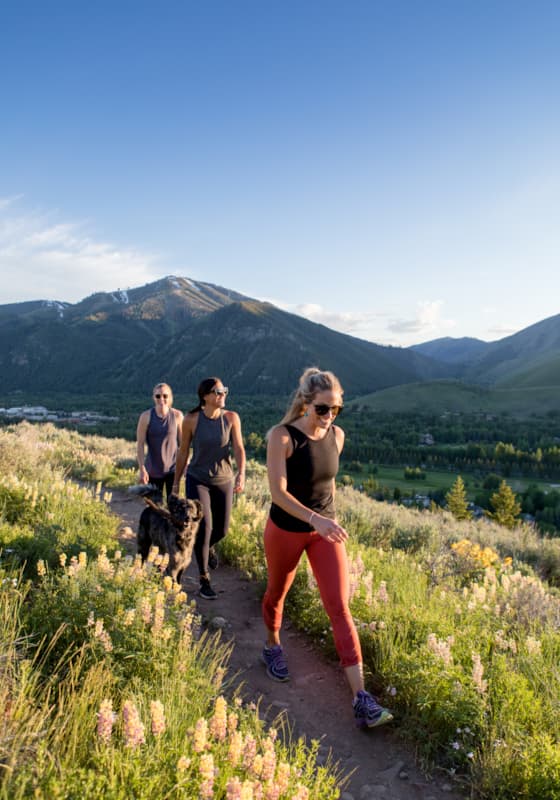 carousel-summer-hiking