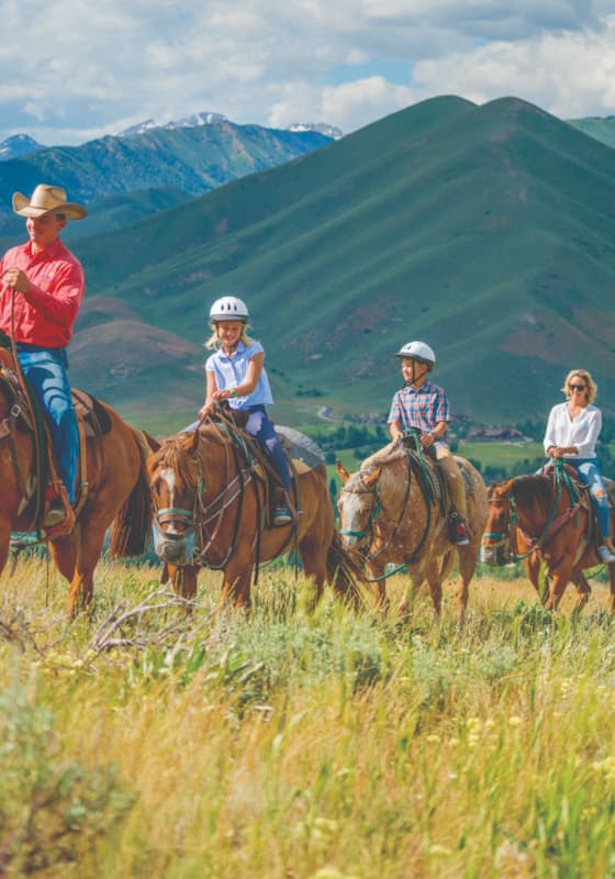 carousel-summer-horseback