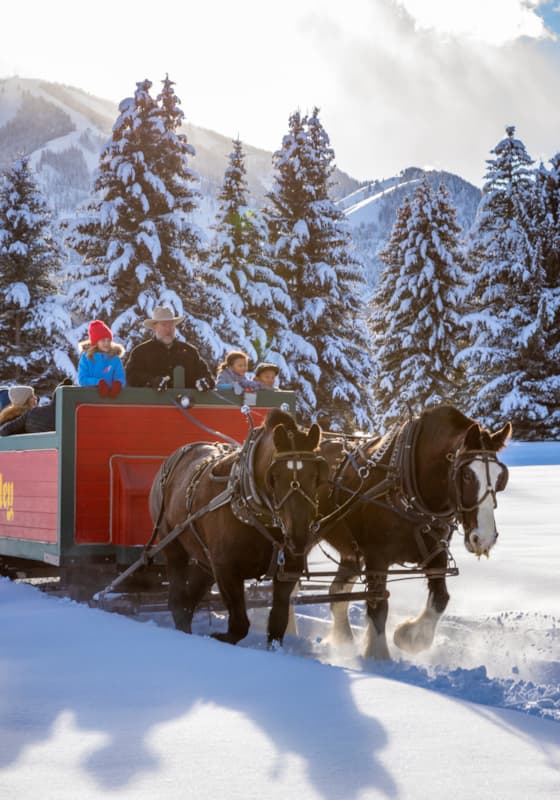 carousel-winter-sleigh-rides