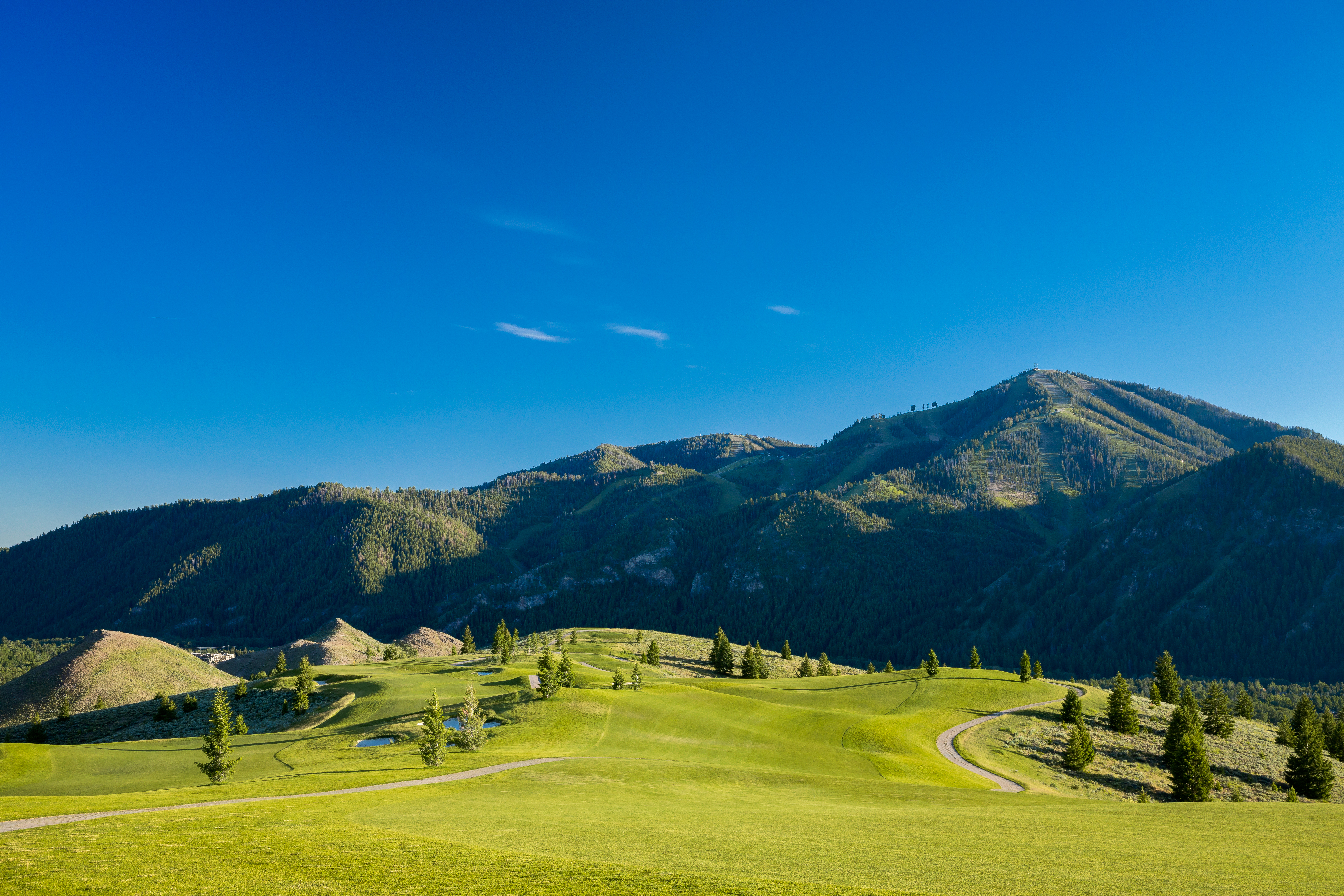 Vetement ski sun valley online