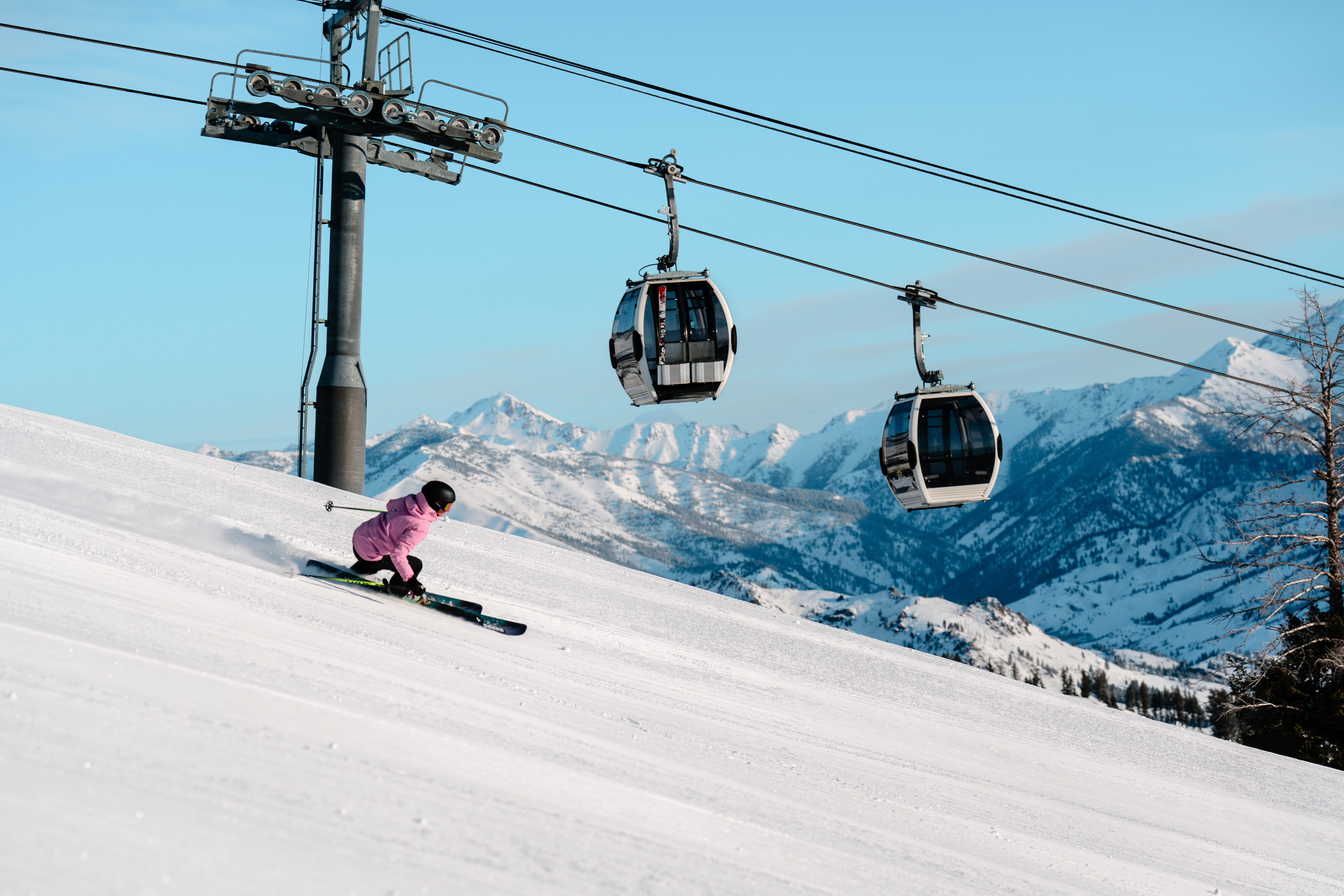 svr_groomer_day_mckenna-peterson_03-14-25_8