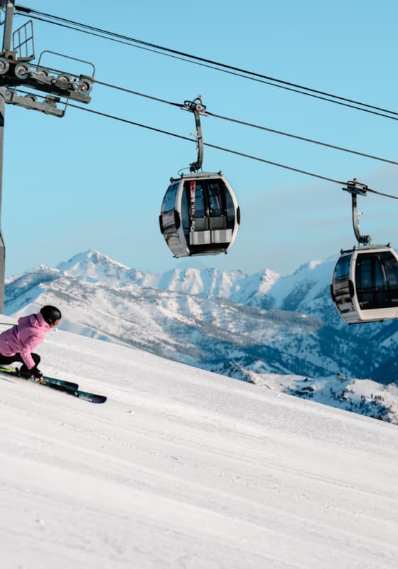 svr_groomer_day_mckenna-peterson_03-14-25_8