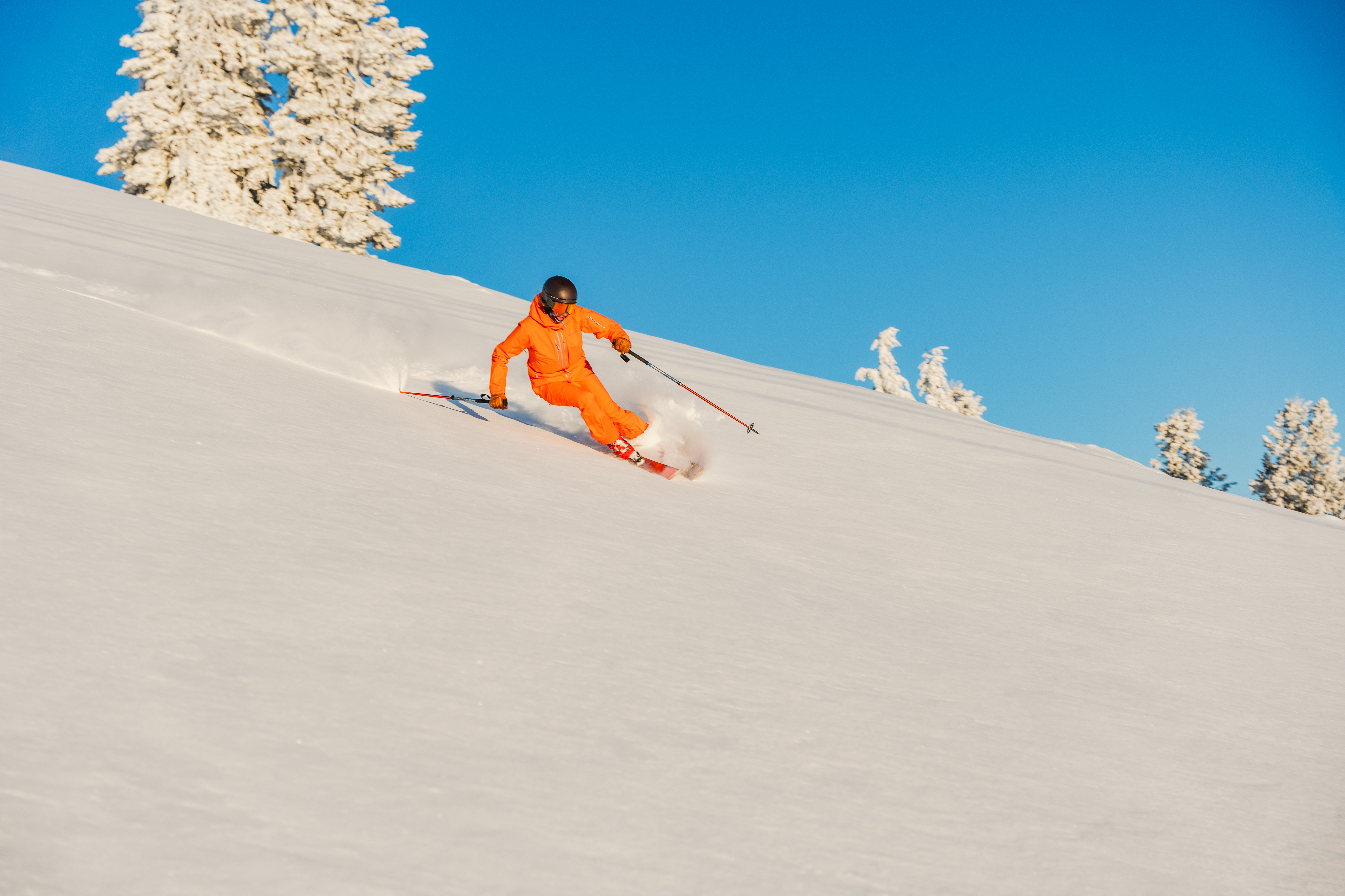 svr_mktg_early_up_pierce_fran_avery_jackson_12-15-24_4