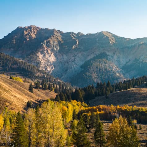 a012c0056_241002_p77j12_cropped