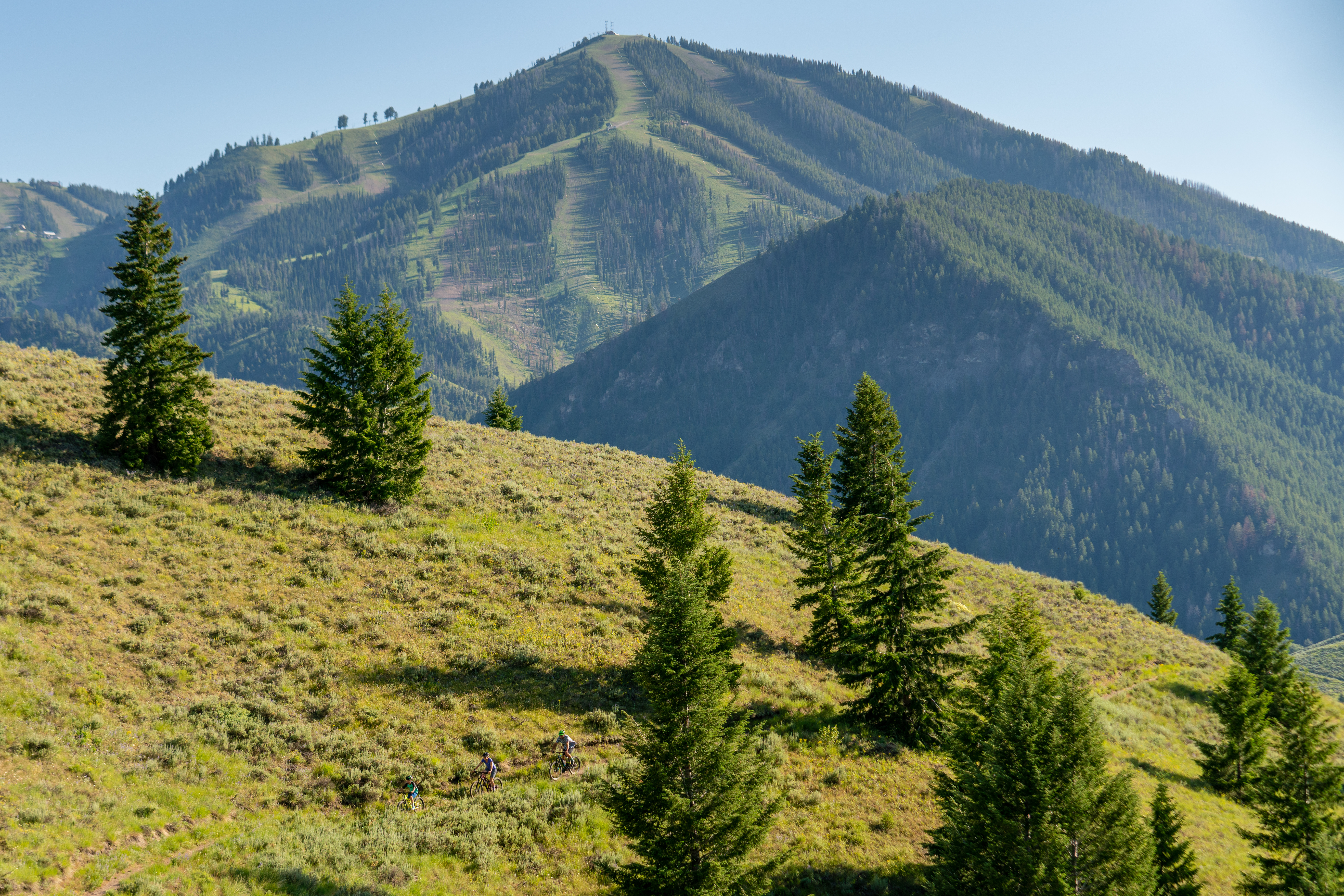 idarado_summer_familywhiteclouds_july2019_20