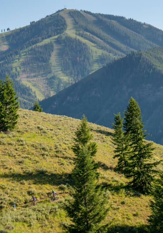 idarado_summer_familywhiteclouds_july2019_20