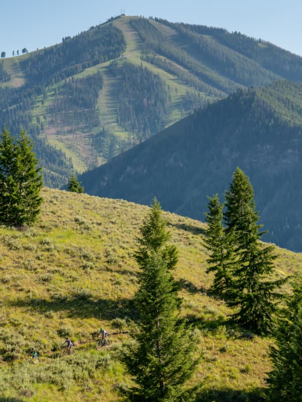 Idarado_Summer_FamilyWhiteClouds_July2019_20