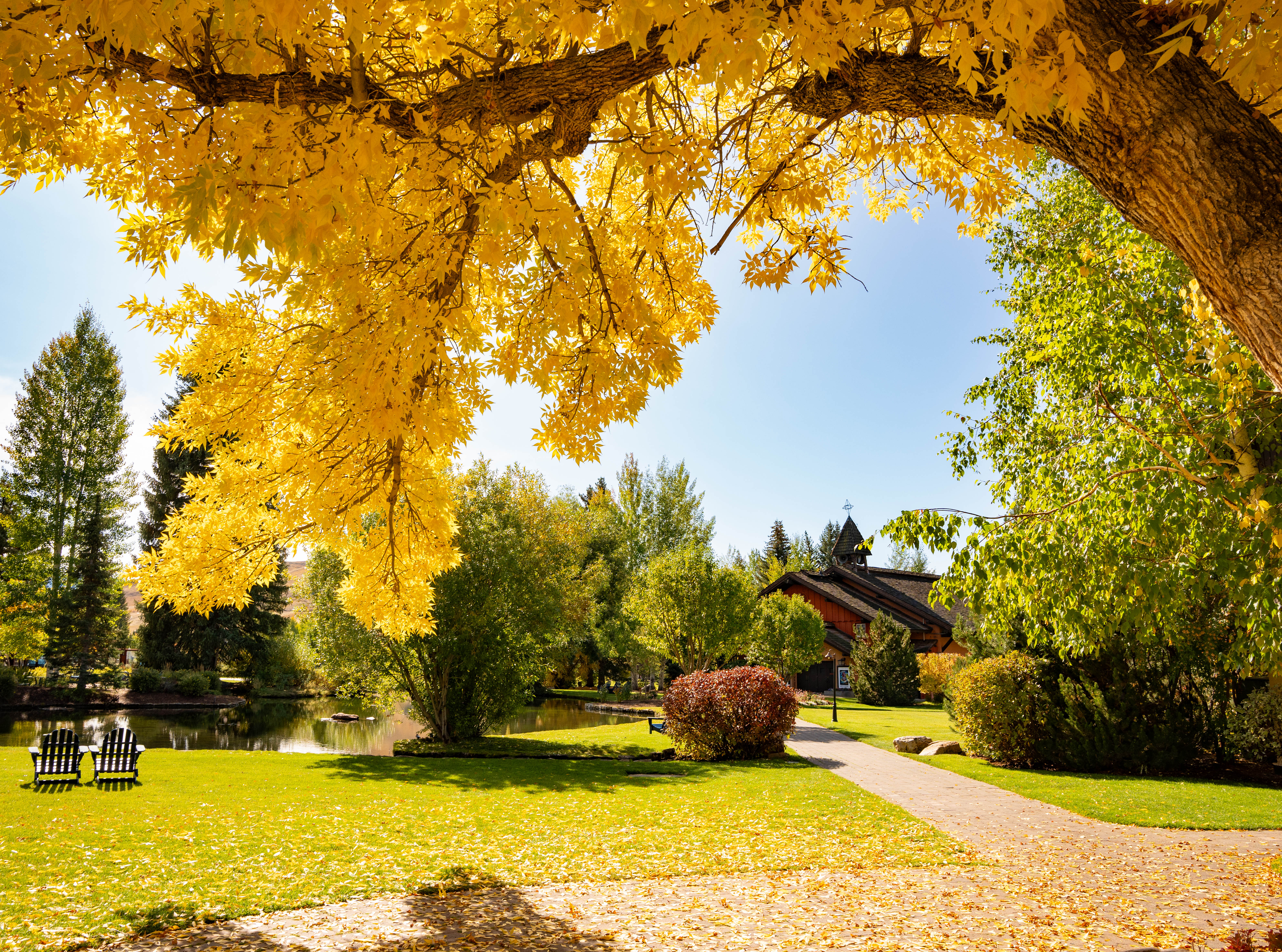 svr_village_fall_duckpond