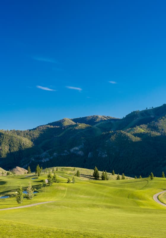 svr_whiteclouds_scenic_pano_summer_2019_dondero_steve_137