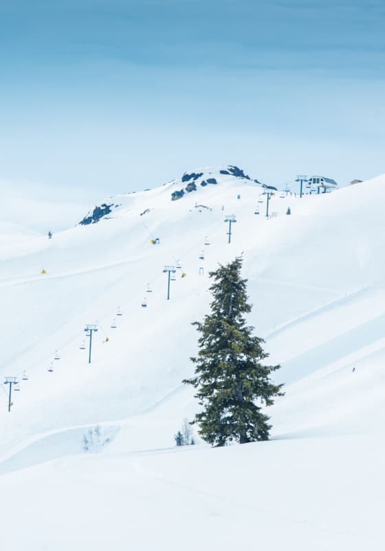 dollarmountain_sv_2048px_nobikes