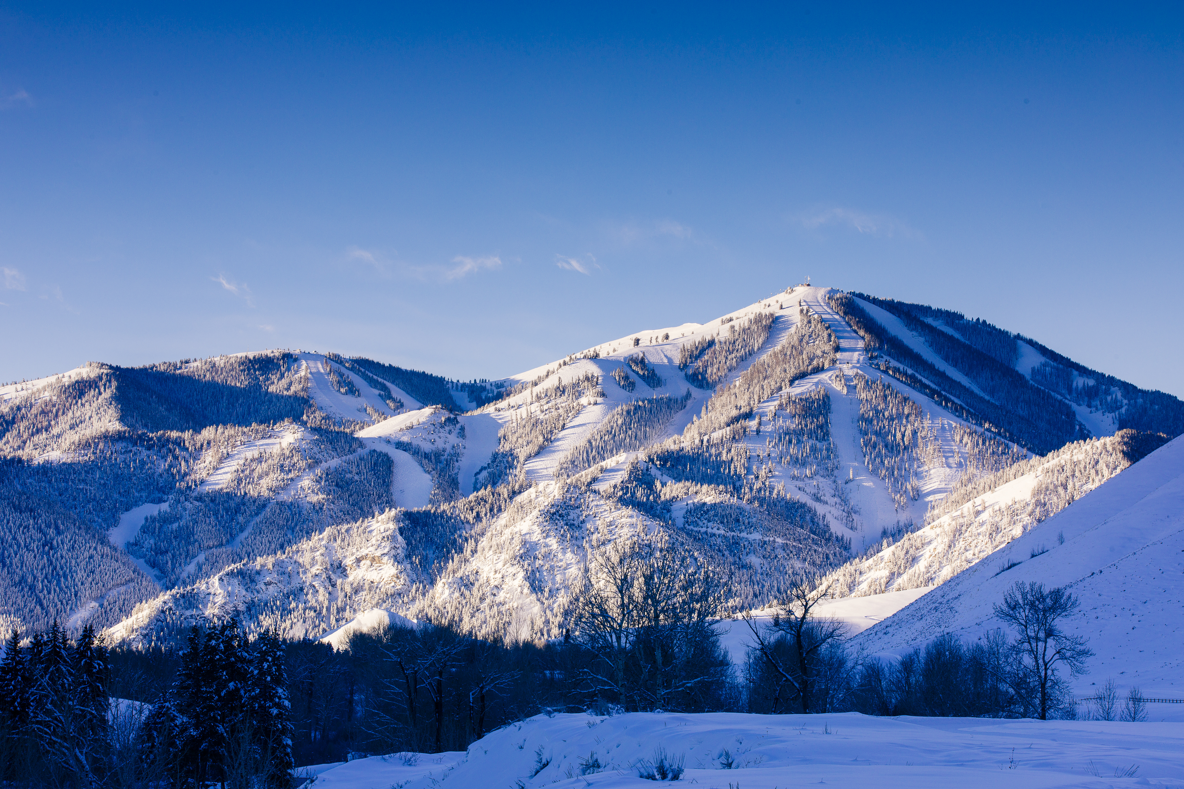 Bald mountain online