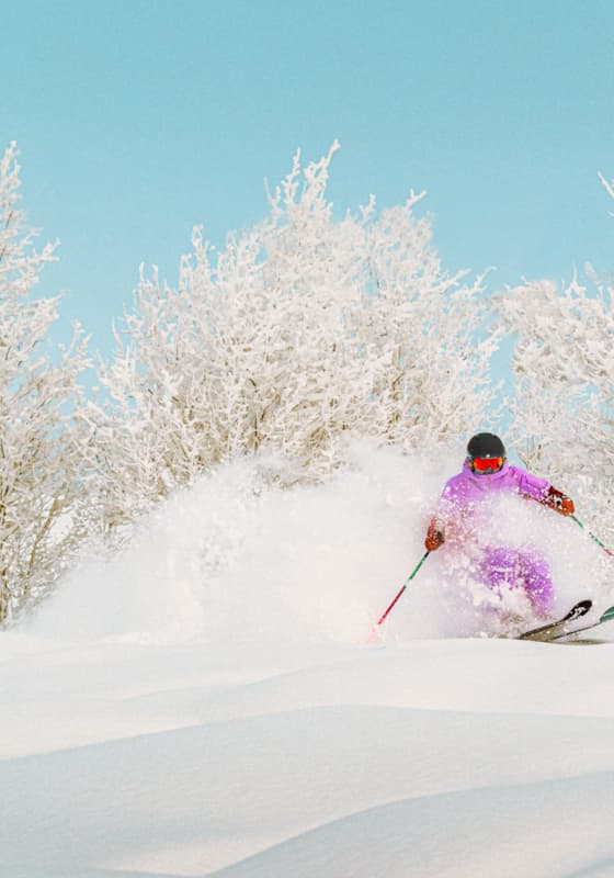 lucysackbauer_sunvalley_v1