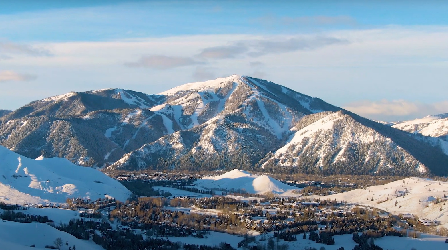 svr_bald_youtubestill_jpeg