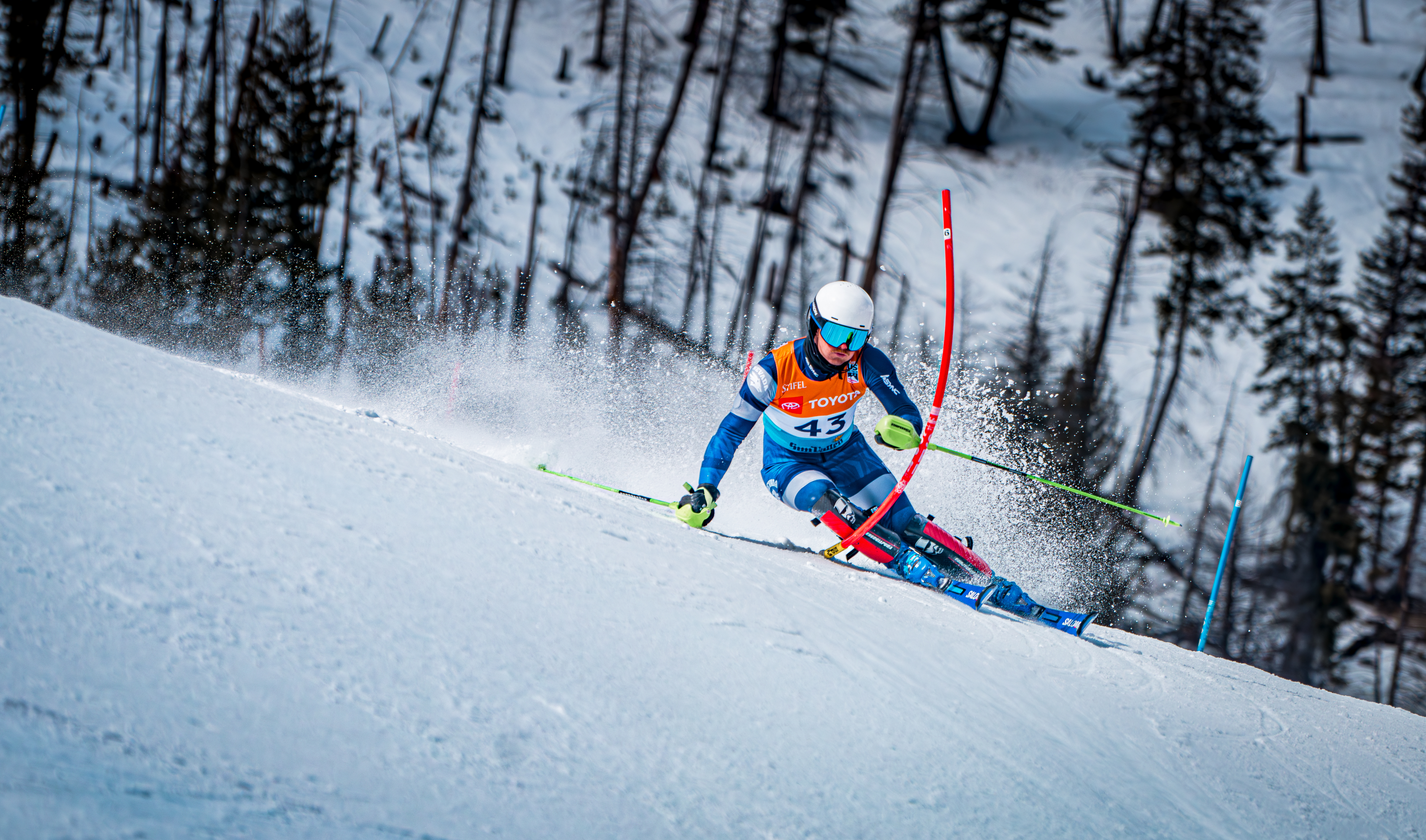 _dsc7271-enhanced-nr